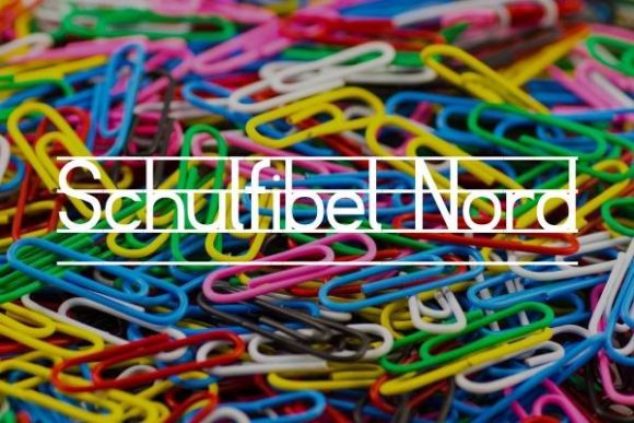 Schulfibel Nord Font: Playful Lines Meet Professional Polish