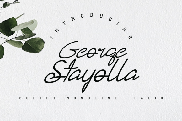 Why George Stayolla Font Feels Like a Handwritten Hug for Your Brand